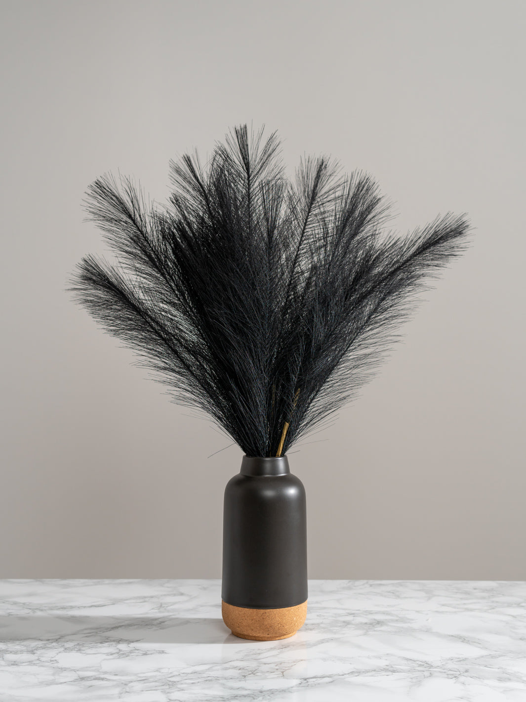 Faux Pampas Grass - Black (5 Stems)