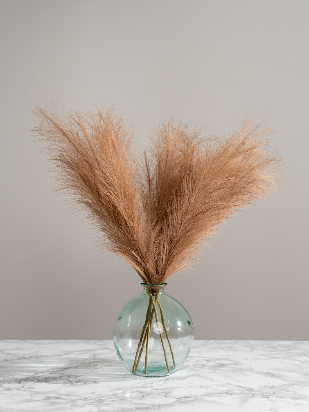 Faux Pampas Grass - Brown (5 Stems)