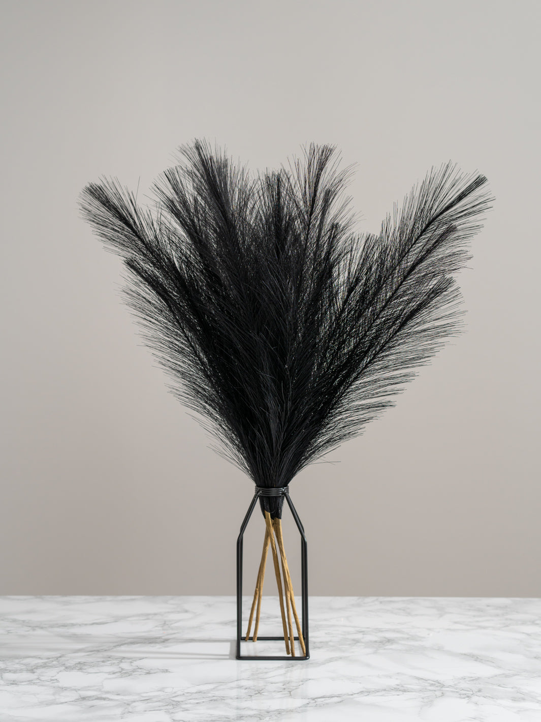 Faux Pampas Grass - Black (5 Stems)