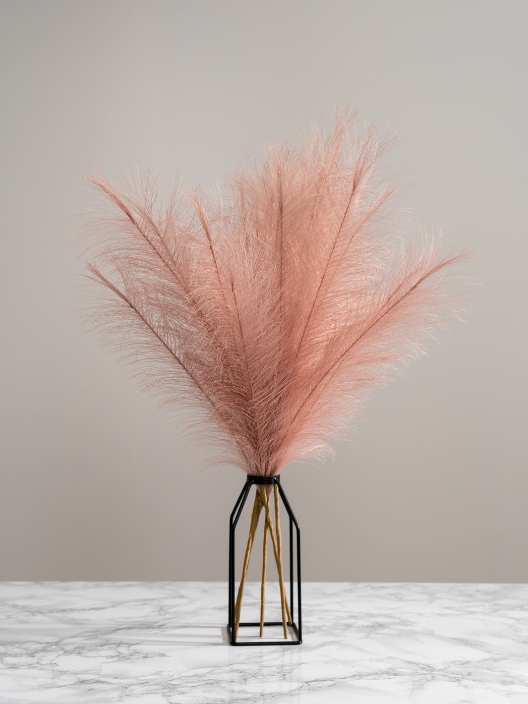 Faux Pampas Grass - Peach (5 Stems)