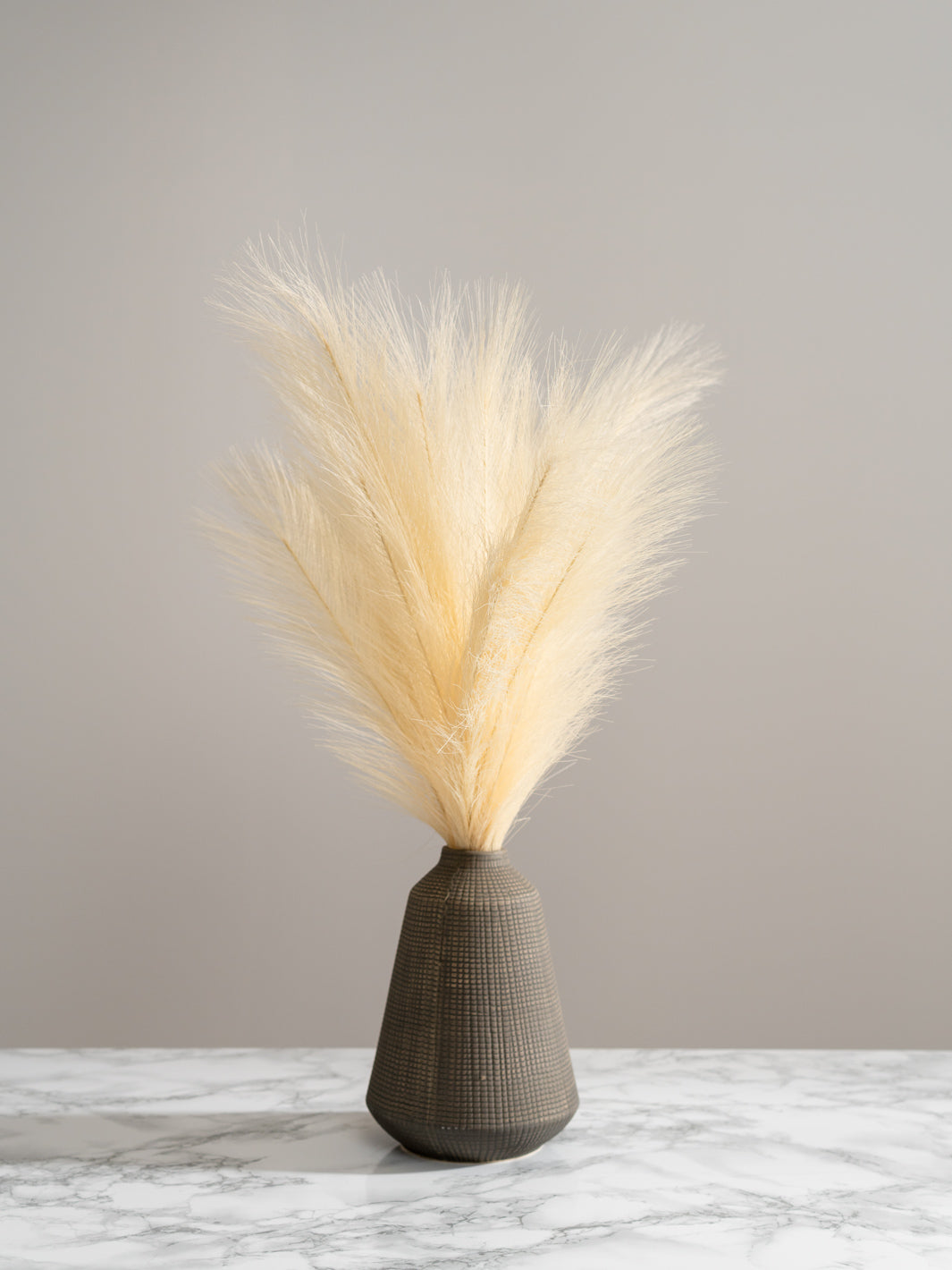 Faux Pampas Grass - Beige (5 Stems)